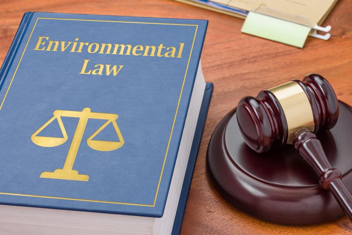 环境集体诉讼通常需要多长时间？